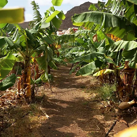 Ecologica Quinta Tizones, Casa Aguacate Santa Cruz de Tenerife