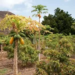 Ecologica Quinta Tizones Βίλα