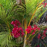 Βίλα Ecologica Quinta Tizones