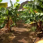 Ecologica Quinta Tizones Σάντα Κρουζ Τενερίφης