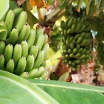 Ecologica Quinta Tizones Βίλα