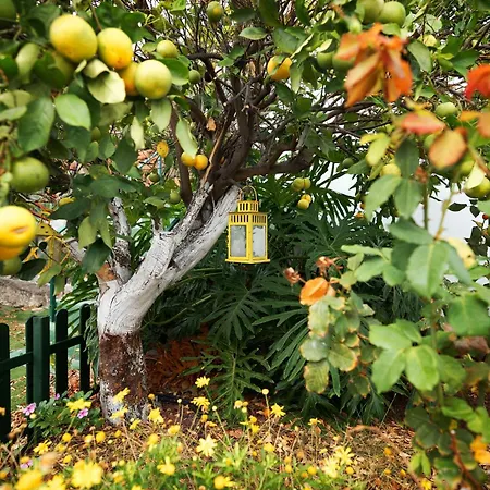 Βίλα Ecologica Quinta Tizones