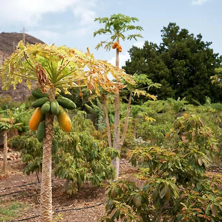 Ecologica Quinta Tizones, Casa Aguacate Villa