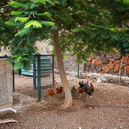 Villa Ecologica Quinta Tizones, Casa Aguacate *
